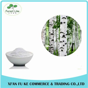 Best Anti-inflammation Reduce Arthritis Pain and Back Pain White Willow Bark Extract