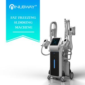 2018 newest design OEM most popular 4 Cryolipoly heads slimming machine for