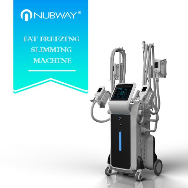 2018 newest design OEM most popular 4 Cryolipoly heads slimming machine for