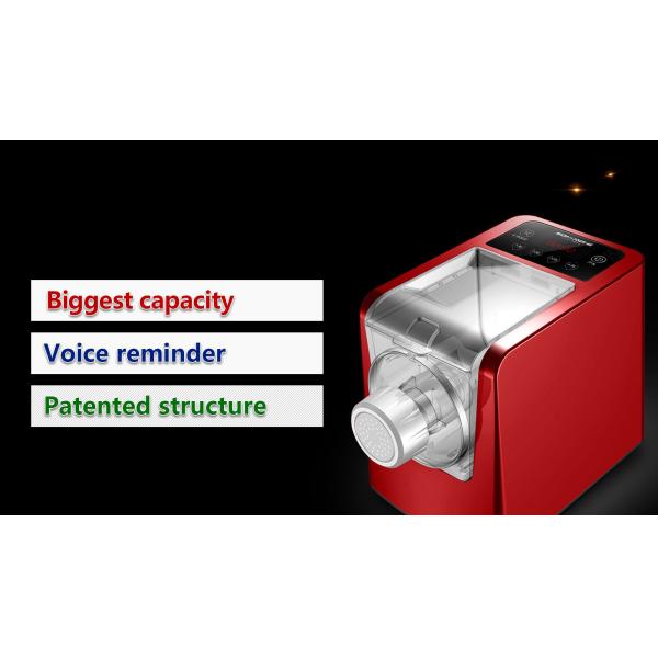 Automatic Pasta/Noodle Maker DIY (Fresh Noodle/ Dumpling/ Ravioli/Vegetable