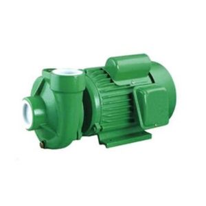 China Agriculture Vegetable Water Centrifugal Pump Electric For Watering on sale