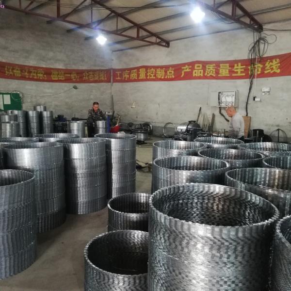 BTO -10 Types Razor Blade Barbed Wire Concertina Coil With Nice Appearance