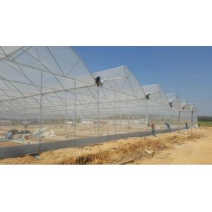 Large Sawtooth Greenhouse Shine Tech Poly Tunnel Tropical Greenhouse With