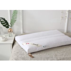 Non Allergenic 48x74cm Bed Throw Pillows