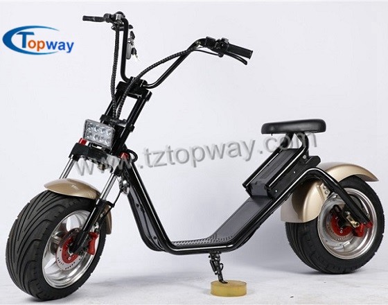 Popular Halley Electric Scooter 1000W 60V Fat Tyre Citycoco