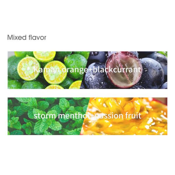 41.6g Sugar Free Low Calorie Mints With Passion Fruit Portable Cooling Breath Freshener