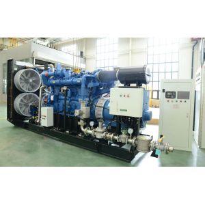 Soundproof Canopy 250KW 300KW 400KW Yuchai Natural Gas Biogas LNG CNG Generator