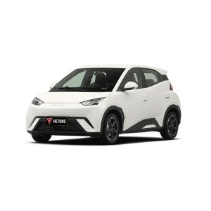 2024 MINI EV Auto Byd Seagull 5-Door 4-Seater Hatchback in 405KM Energy Vehicle