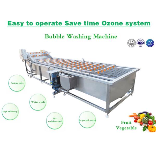 Buy SS304 Fruit And Vegetable Processing Line Bubble Washing Machine at wholesale prices
