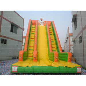 Quality Giant Inflatable Sport Slide (CYSL-35) for sale