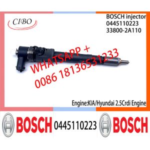 BOSCH Common fuel Injector 0445110186 0445110185 0445110222 0445110223 33800