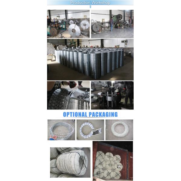 Concertina Razor Barbed Wire Price/Hot Dipped Galvanized Razor Wire