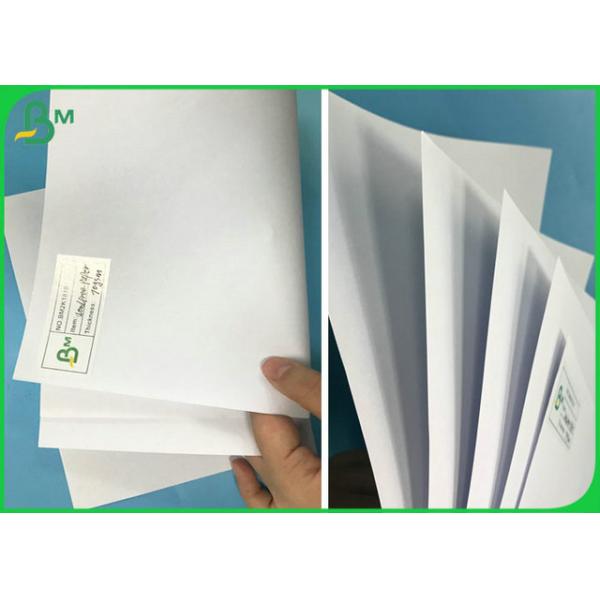 FSC 55G 60G 70G 80G 100G Wood Free Offset Paper Sheet Or Roll Custom Service