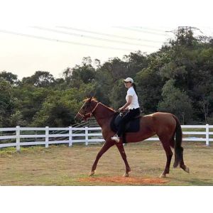 Waterproof Outside Vinyl Plastic For Ranch Fence Paddock Fencing