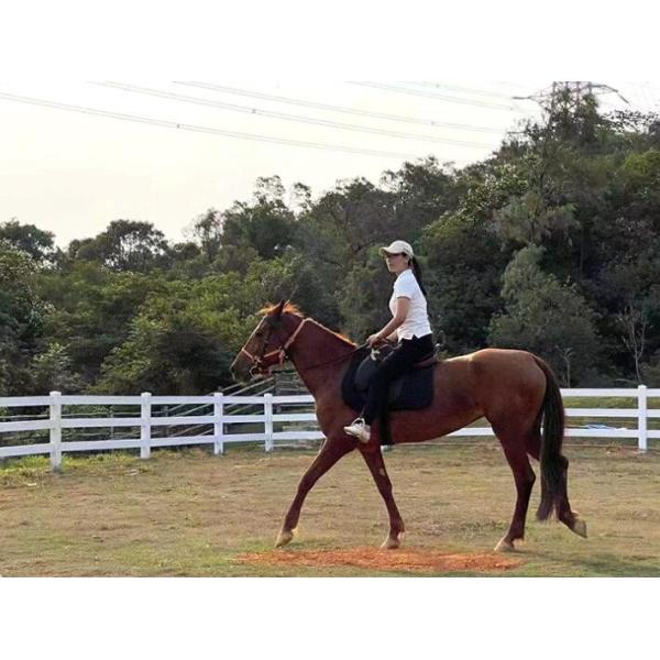 Buy Waterproof Outside Vinyl Plastic For Ranch Fence Paddock Fencing at wholesale prices