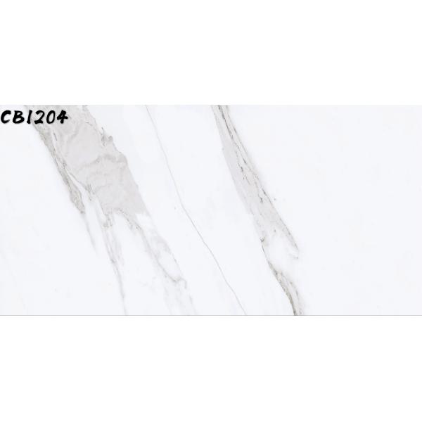 Carrara Full Body Porcelain Tile 24''X48" Floor Porcelain Matt Rustic Tile