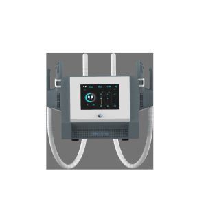 Portable Air Cooling EMSlim HIEMT RF Body Slimming Machine