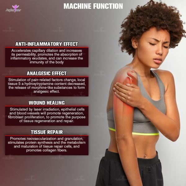 Physio Master Physical Joint Pain Relief 10 Diode 405 635nm Red Violet Laser Anti-Inflammatory Wound Heal Machine