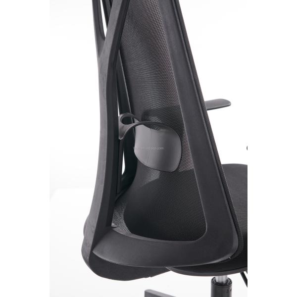 Metal Type Stainless Steel Office Computer Chair with Lumbar Support and Revolving Design