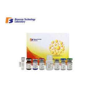 Quality 96 Wells Size Sandwich ELISA Kit BFGF With Strong Sensitivity For Research for sale