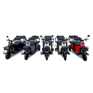800w Leisure Electric Tricycle Open Three Wheel Electric Bike
