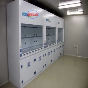 Industrial Chemical Fume Hood Lab PP Hood Suitable for Noise ≤60dB 220V Voltage