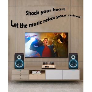 4 Ohms Bluetooth Hifi Bookshelf Speakers 2 Way Multifunctional