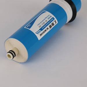 Water Treatment 50 75 100 Gpd Reverse Osmosis Water Pruifier Filter Cartridge