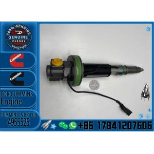 Fuel Common Rail Diesel Fuel Injector F00BL0J020 4955525 For Cummins QSK19 QSK38