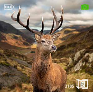 1X Digital Night Vision Monocular Optics Scope Infrared For Hunting Observe