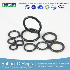 Standard Size Good Flexibility O-Ring EPDM