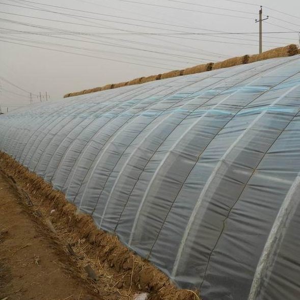 Buy Tomato Farming Sunlight Greenhouse with Humidity Control and Temperature Control at wholesale prices