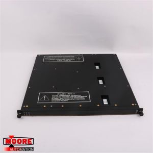 Quality 3706A TRICONEX Analog Input Module for sale