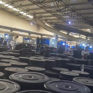 Weightlifting Adjustable Dumbbell Set Iron Plate 20kg 45LB Powerlifting