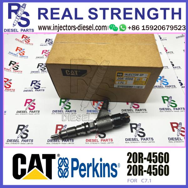 Common Rail Diesel Fuel Injector 0445120348 391-3974 20R-4560