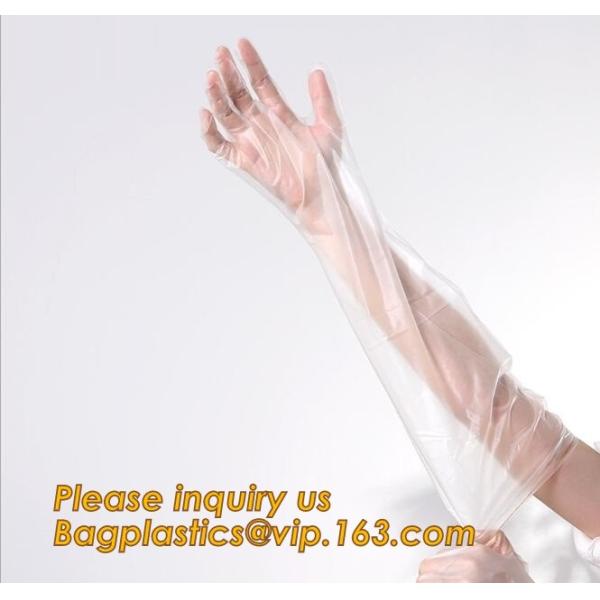 Buy Biodegradable Pe Plastic Disposable Clean Gloves,Wholesale sanitary recyclable pe plastic hand gloves for cleaning BAGEA at wholesale prices