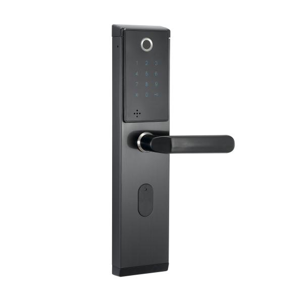 Buy SS Standalone Fingerprint Recognition Door Locks 500DPI Black at wholesale prices