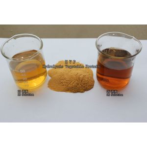 Flavor Enhancers Hydrolyzed Vegetable Protein / HVP Powder