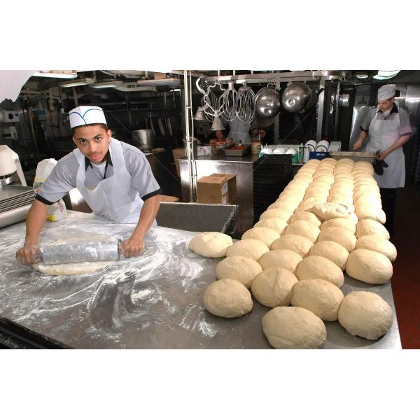 big size type frequncy speed horizontal industry dough mixer top stainless steel 18/8 SIEMENS BRAND