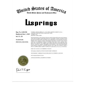 乐清市力升弹簧有限公司 Certifications