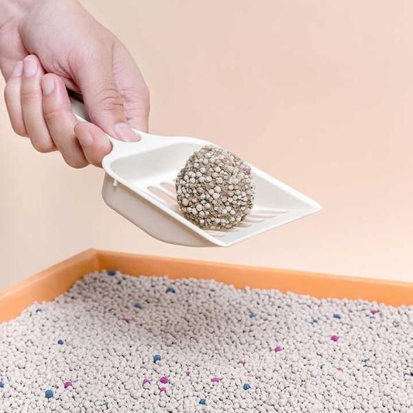 Customized Flavor Clumping Sand Cat Litter Colorful Bentonite Premium Cat Litter