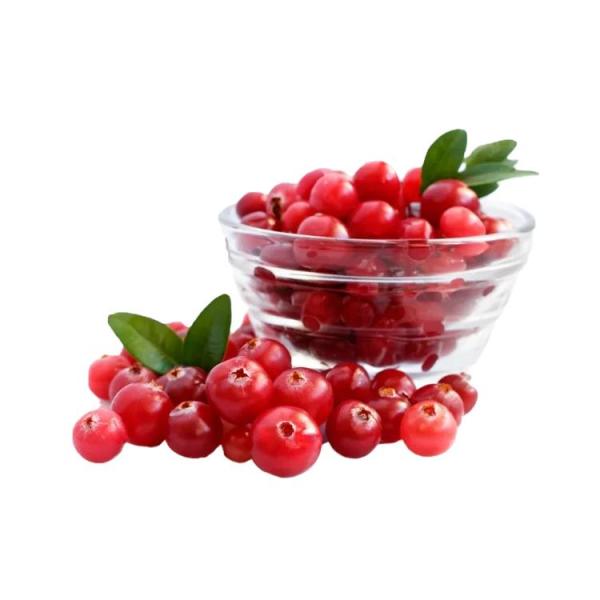 Buy OEM/ODM Hot Selling Economical Bulk IQF Frozen Lingonberry High Demand IQF Frozen Fruit at wholesale prices