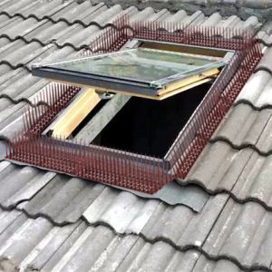 Plastic Transparent Base Stainless Bird Spikes Pest Type Birds Long-Lasting