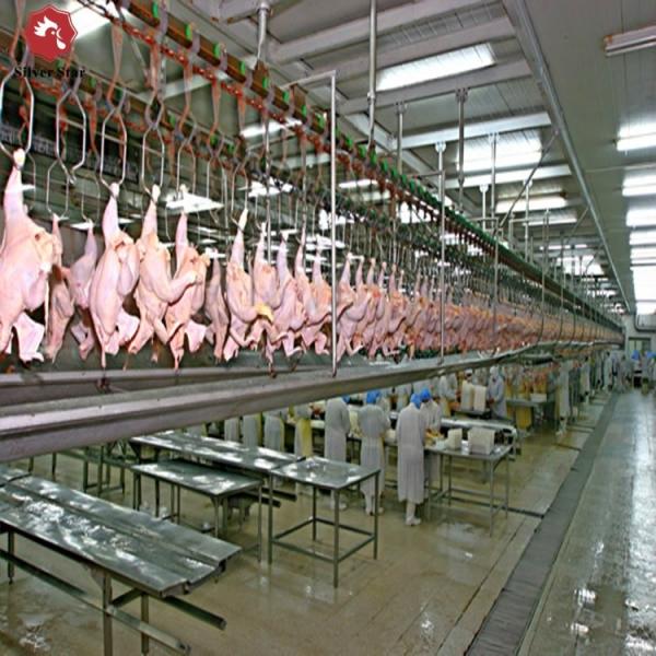 Halal Poultry Automatic Abattoir Chicken Slaughtering Processing Scalding