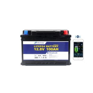 Deep Cycle Bluetooth Lithium Ion Lifepo4 Battery 12v 100ah