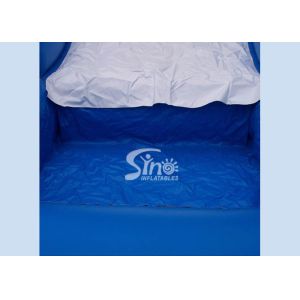 5m high cute dolphin kids inflatable water slide with pool meeting with EN14960