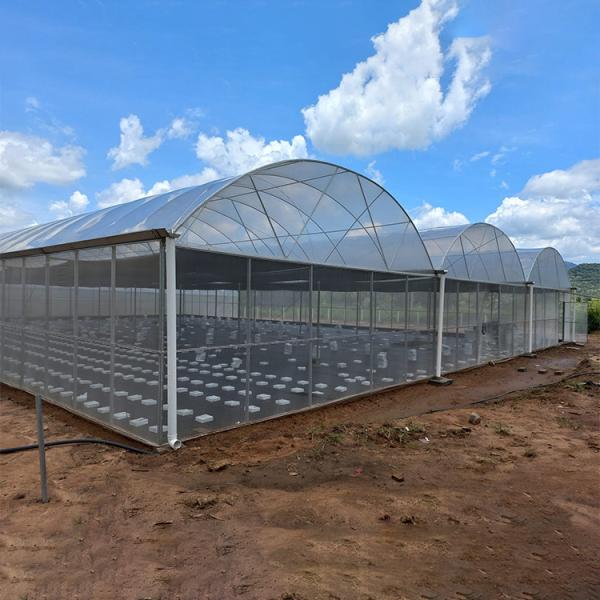 Buy Hydroponic Complete Thailand Multi Span Greenhouse Side Ventilation Industrial at wholesale prices