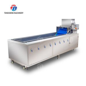 Leaves Leafy vegetables Cabbage varieties Herbs Fruiting vegetables Vegetables