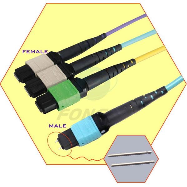 12 Fiber MPO LC Fanout Cable OM3 To 0.9mm MM Fiber Optic Patch Cord 4