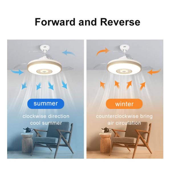 Stylish Metal Indoor Ceiling Fan with Hidden Blades and Cooling Air LED Light Function